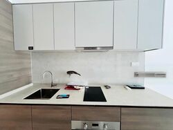 The Florence Residences (D19), Apartment #461486731